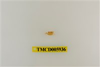 藏品(拉氏清溪蟹)的圖片